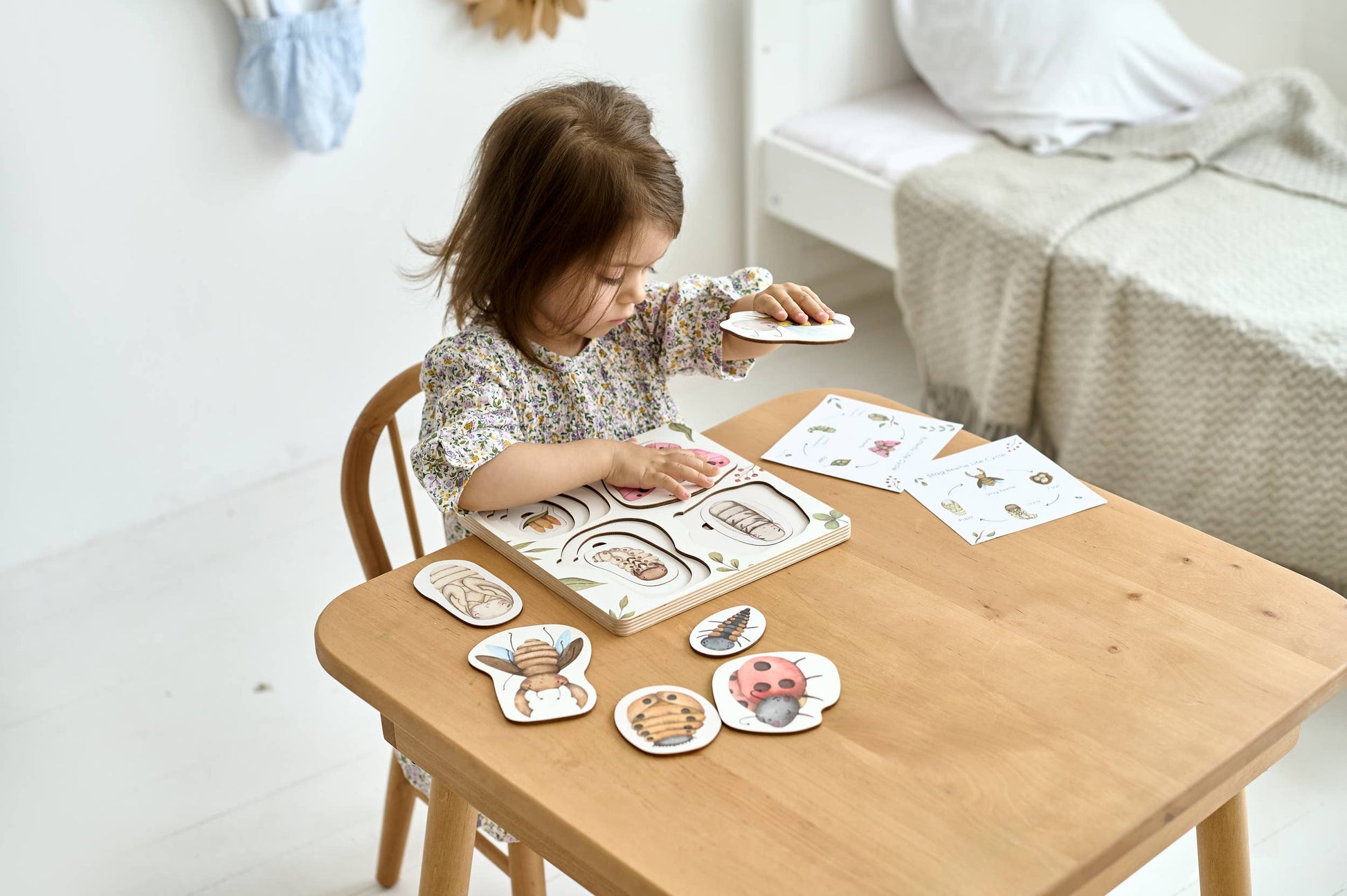 Medinė Montessori dėlionė „Vabzdžių gyvenimo ciklas“