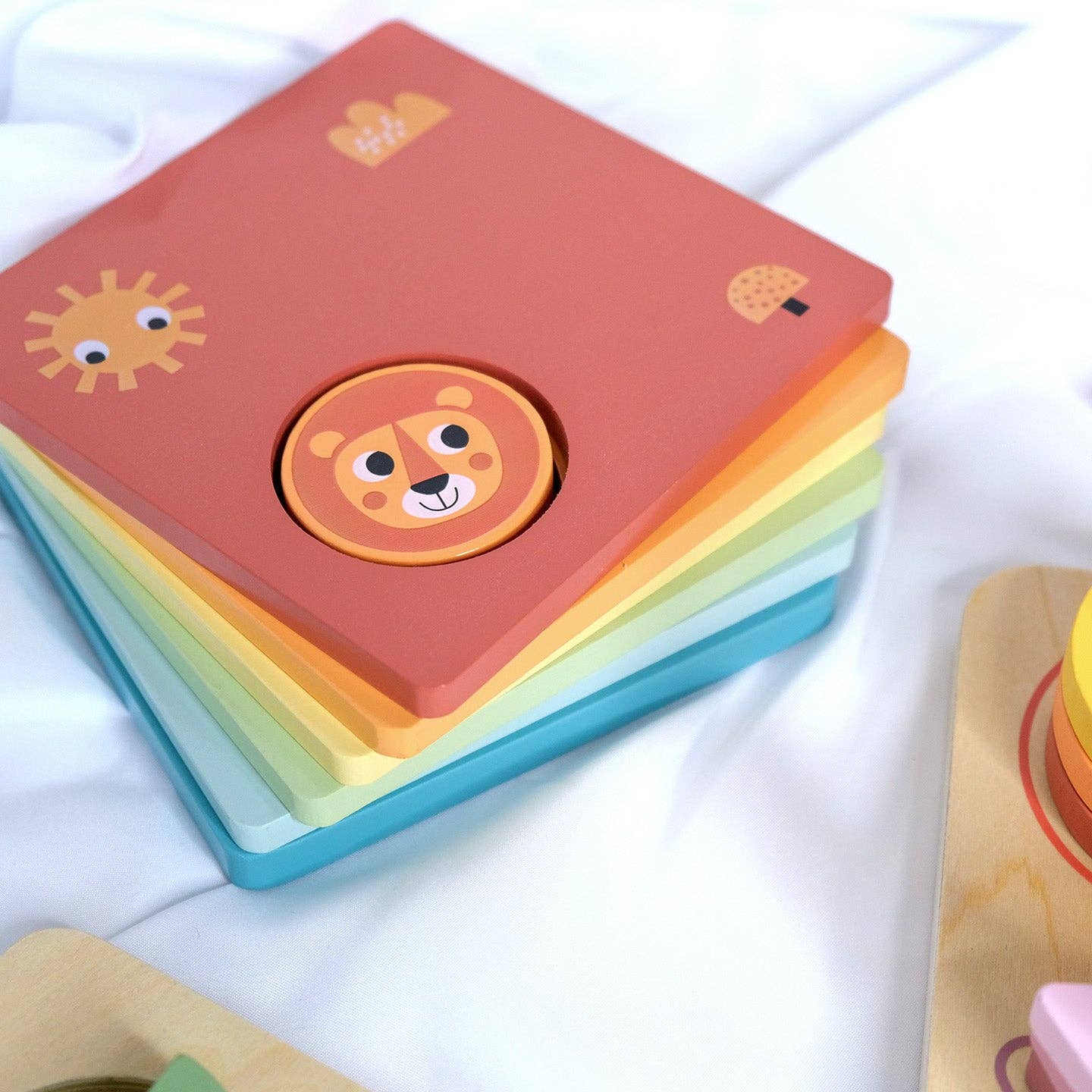 Montessori žaislų rinkinys 24 - 36 mėn