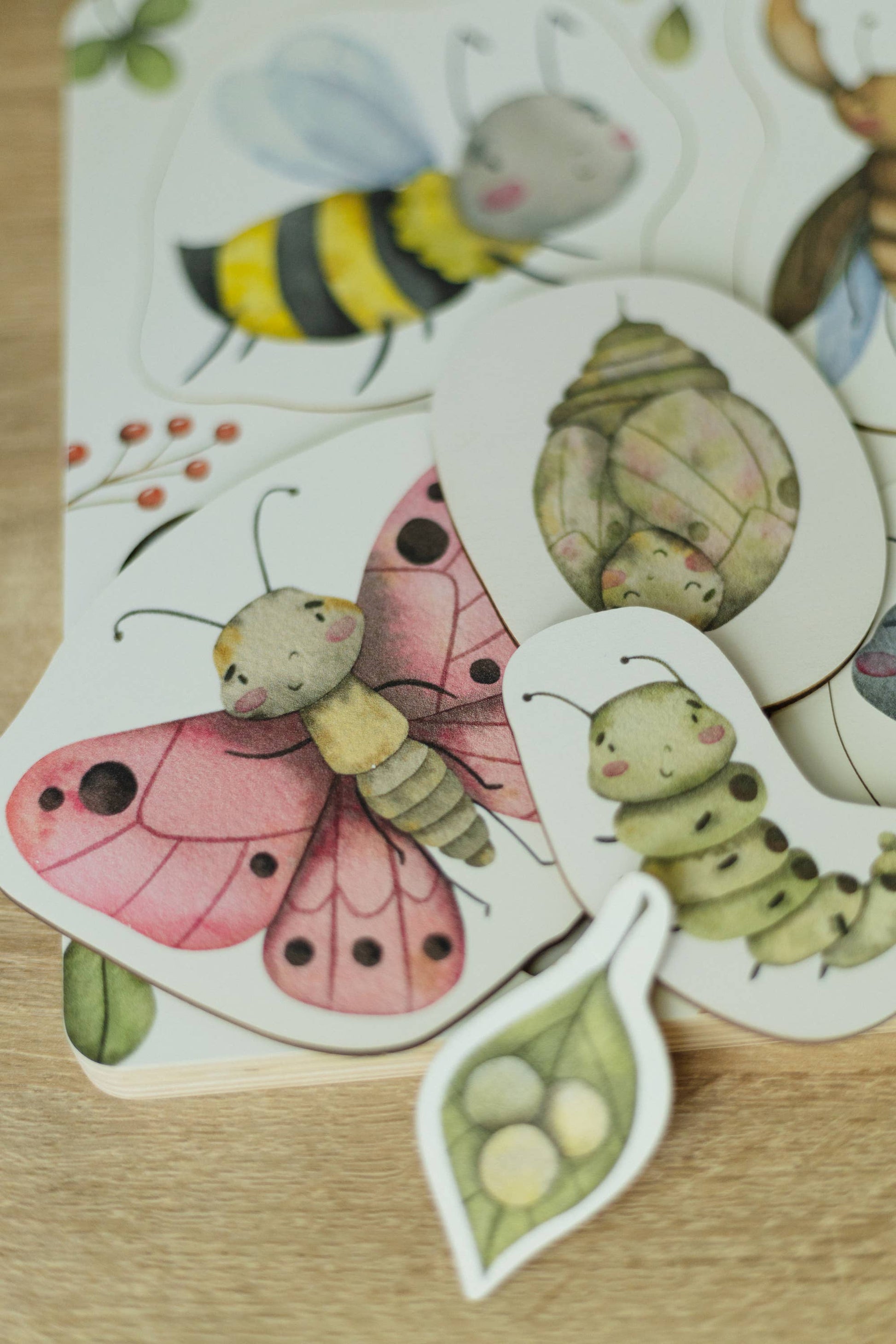 Medinė Montessori dėlionė „Vabzdžių gyvenimo ciklas“