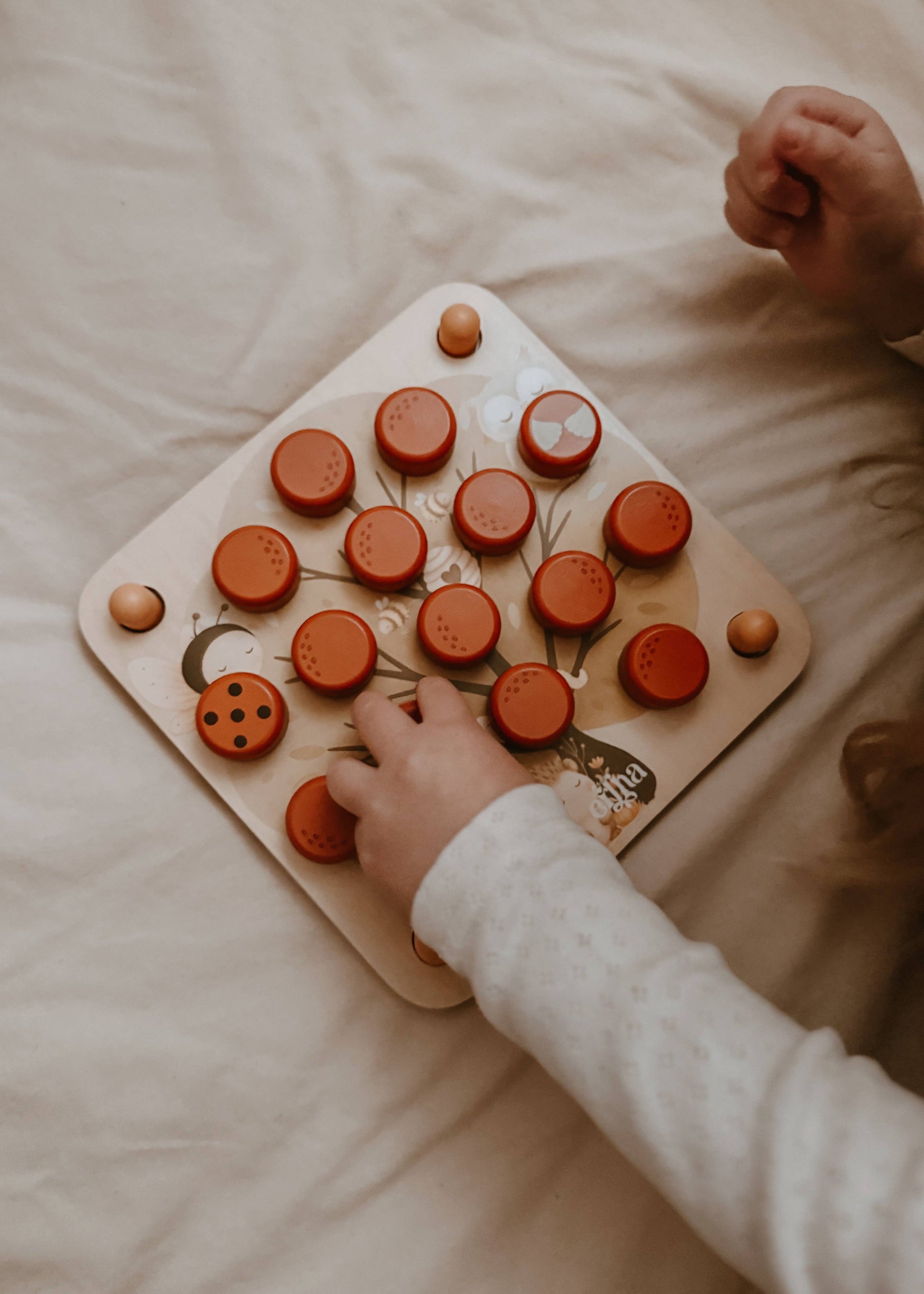 Montessori edukacinė atminties dėlionė Pop & Peek