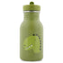 Stainless Steel Bottle 350 ml - Mr Dino