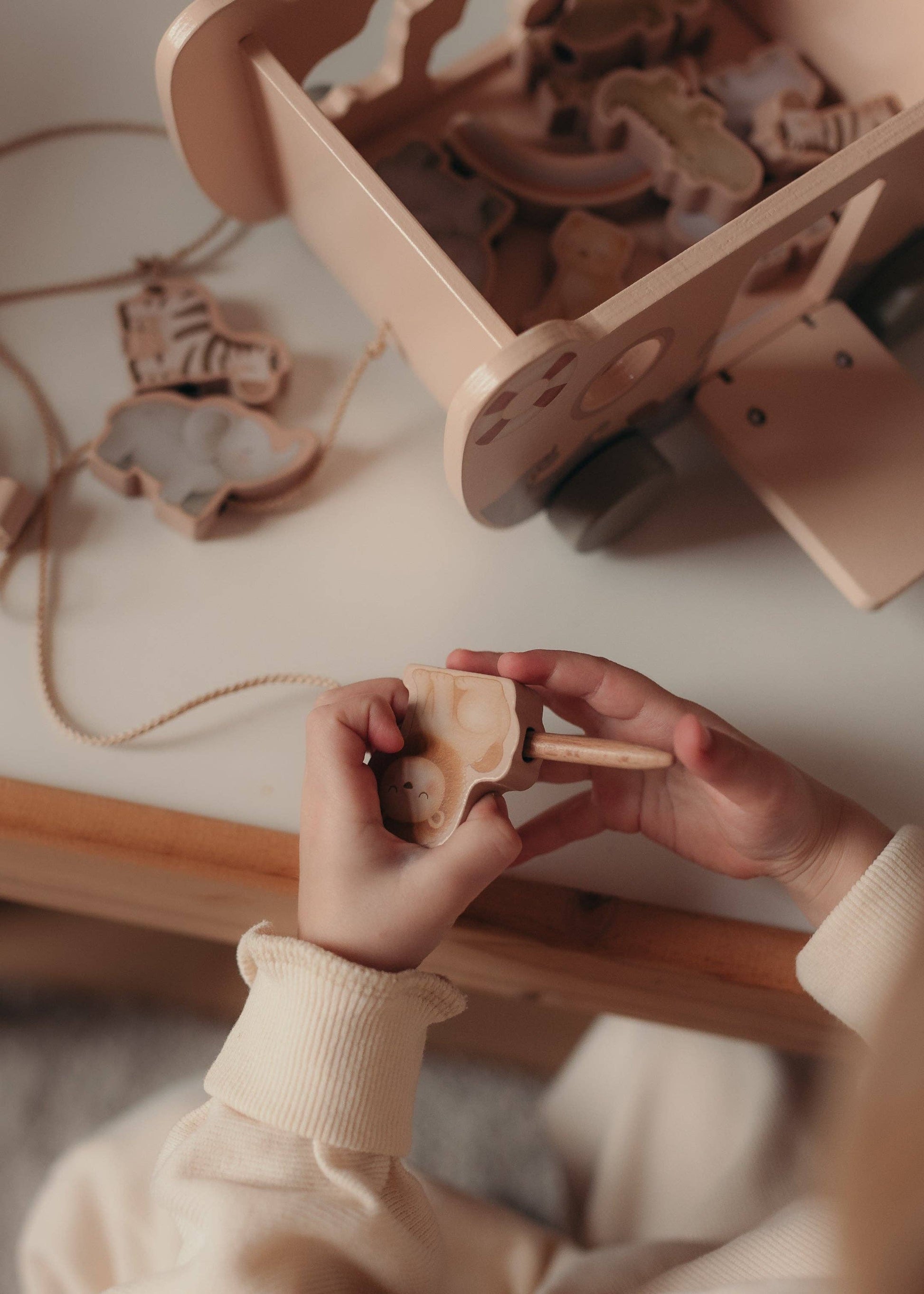 Montessori medinė Nojaus arka su gyvūnais