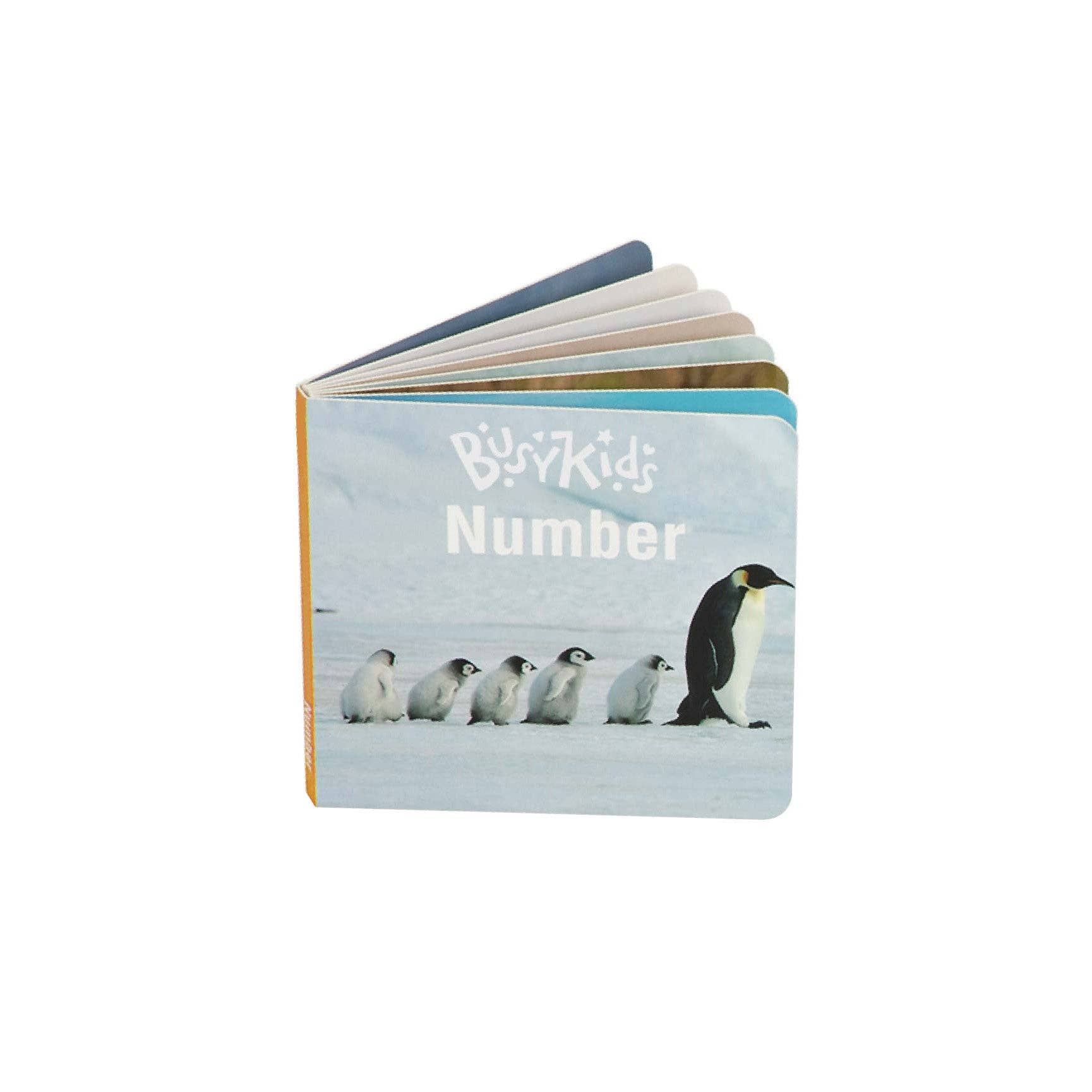Montessori žaislų rinkinys 24 - 36 mėn