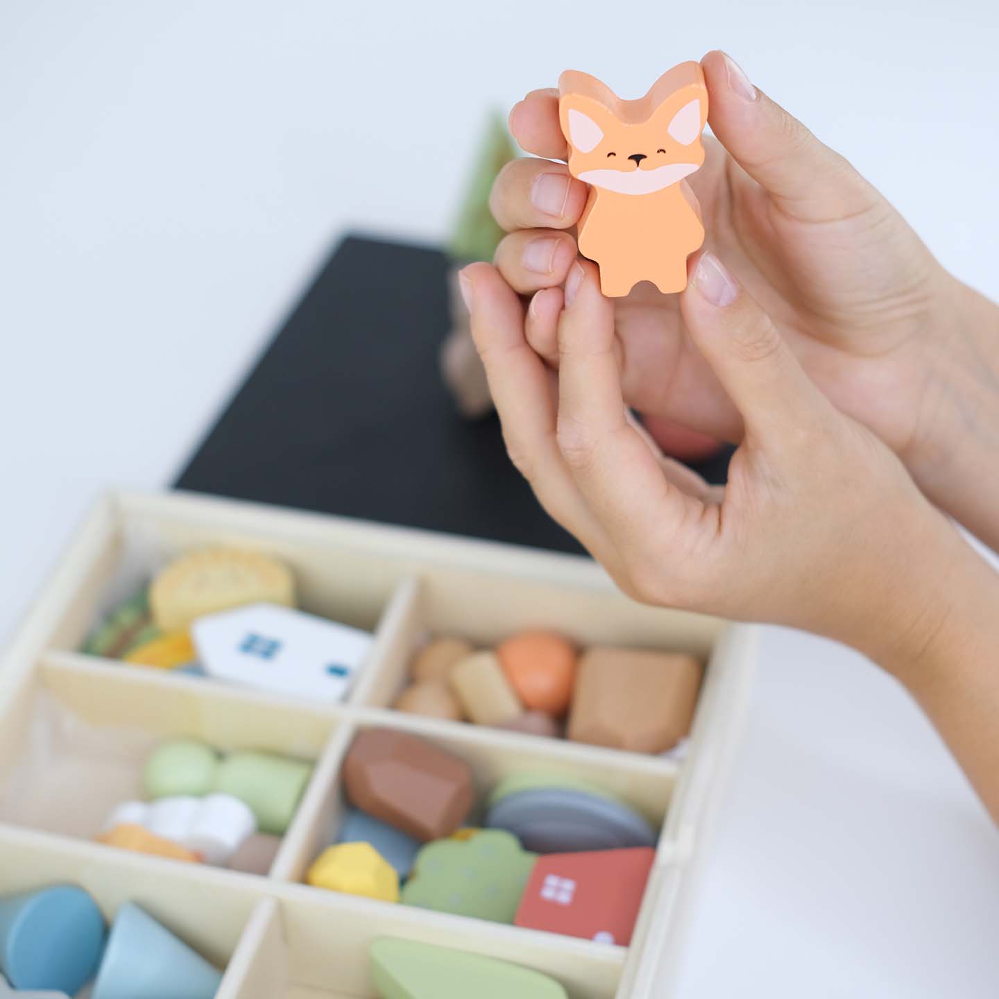 Montessori medinių figūrėlių rinkinys "Miškas"