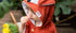 Short-Sleeve Poncho FOX - For TODDLERS