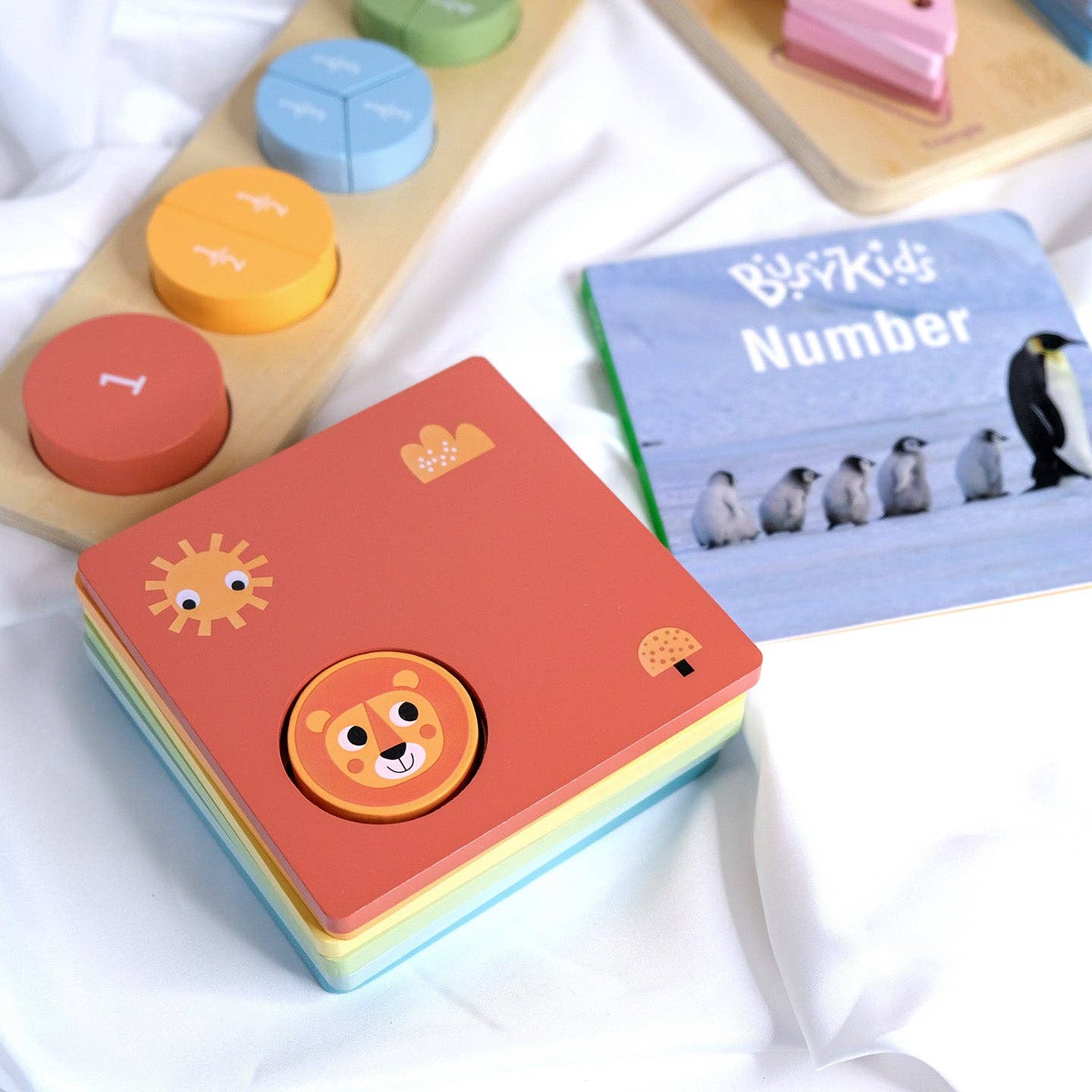 Montessori žaislų rinkinys 24 - 36 mėn