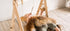 Wooden Play Gym for Baby