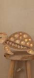 Little Lights Turtle Lamp