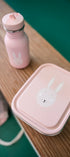 Small Lunch Box - Mrs. Rabbit