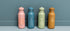 Stainless Steel Bottle 350 ml - Mr. Triceratops