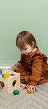 Wooden Shape Sorter